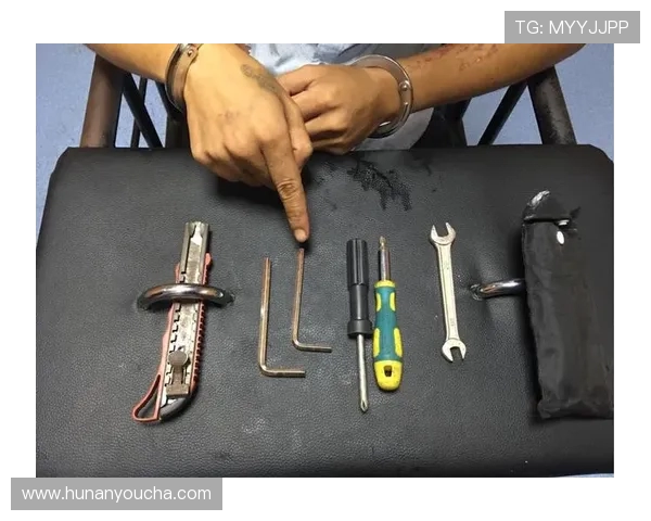 专访陈强：探寻网球界的成功秘诀与背后的故事