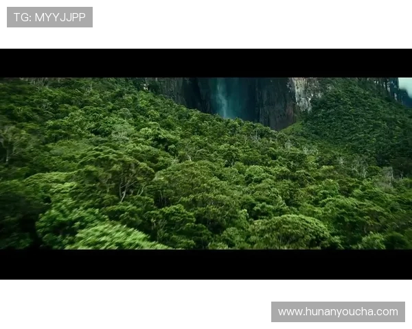 极限运动新风潮：探讨杭州极限运动队的团队意识与发展潜力